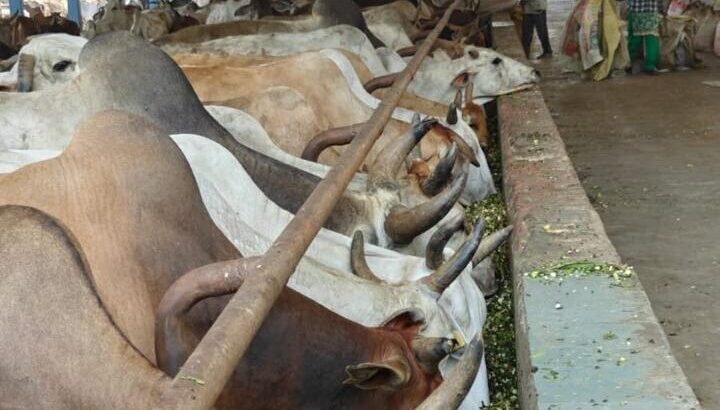 WhatsApp Image 2025-10-27 at 16.02.14_cf019b32